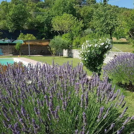 Sale! Beautiful 2-bed With Pool Access