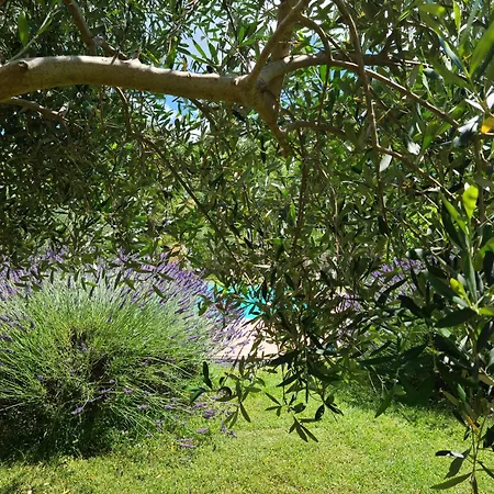 Sale! Beautiful 2-bed With Pool Access Appartamento Spoleto